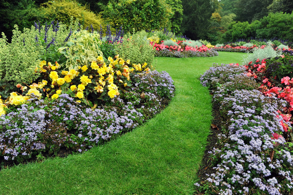 3 Essential Steps to Hire a Landscaper 3 Essential Steps to Hire a Landscaper