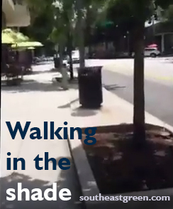 Walking in the Shade | Full of Useless Information