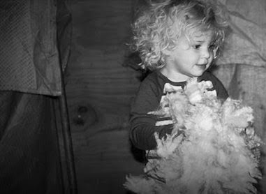 Havelock Wool Havelock Wool
